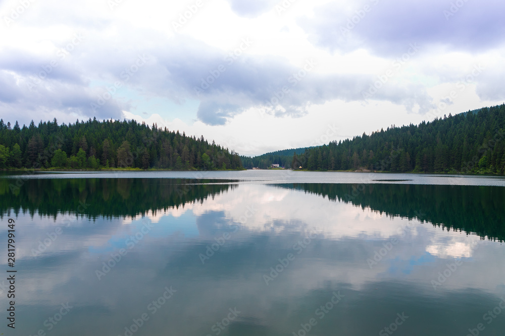 magnificent reflection of calm Black Lake and magnificent thick forest in Durmitor park, Montenegro