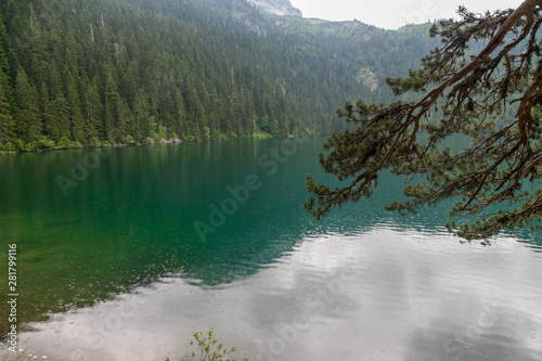 Fototapeta Naklejka Na Ścianę i Meble -  view of beautiful rainy day with pine branch, Black Lake and fir forest in Durmitor park, Montenegro