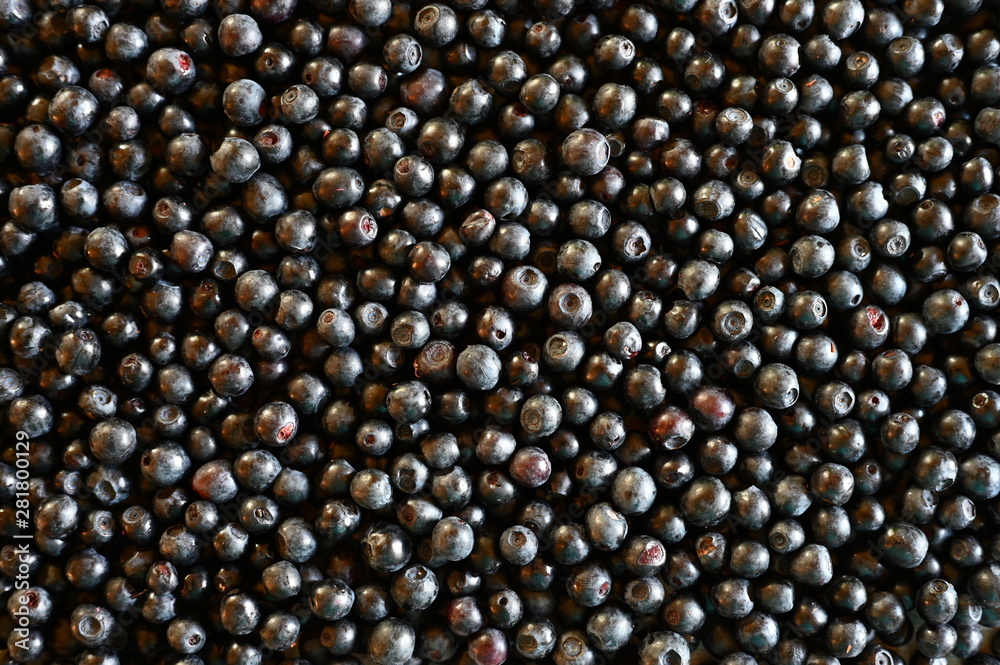 Background of fresh ripe bilberries Background of fresh ripe bilberries