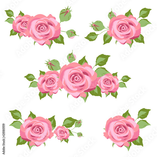 beautiful pink  rose  flowers isolated on a white background   vintage postal