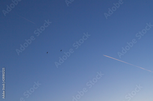 Two skydivers and two tracks from the plane against the blue sky.