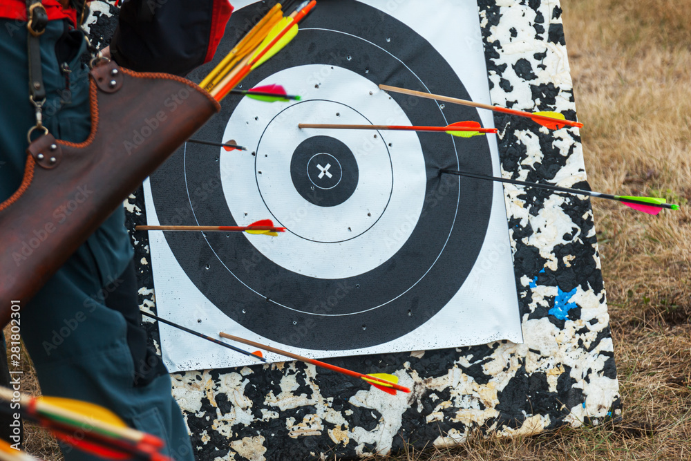Field archery competitions. Several bow arrows hit and stick out in a