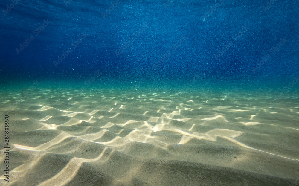 Naklejka premium Underwater background with ocean water. At the bottom of the sea.