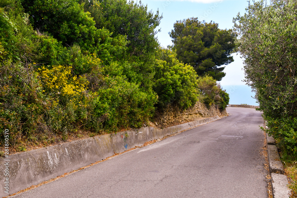 A curve of a panoramic road with a dry-stone wall and olive trees leanead out on the Ligurian Sea in the Riviera of Flowers in summer, Bussana, Imperia, Liguria, Italy