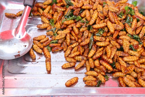 Fried insect at street food