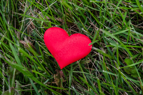 red heart on a green background  top view