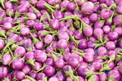 purple eggplant at the market