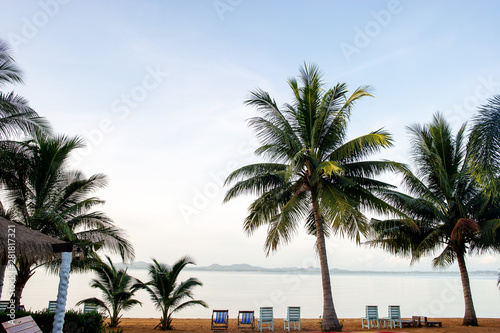 Coconut trees and sea  beautiful natural scenery