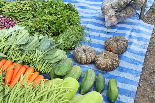 Shops selling vegetables at the market