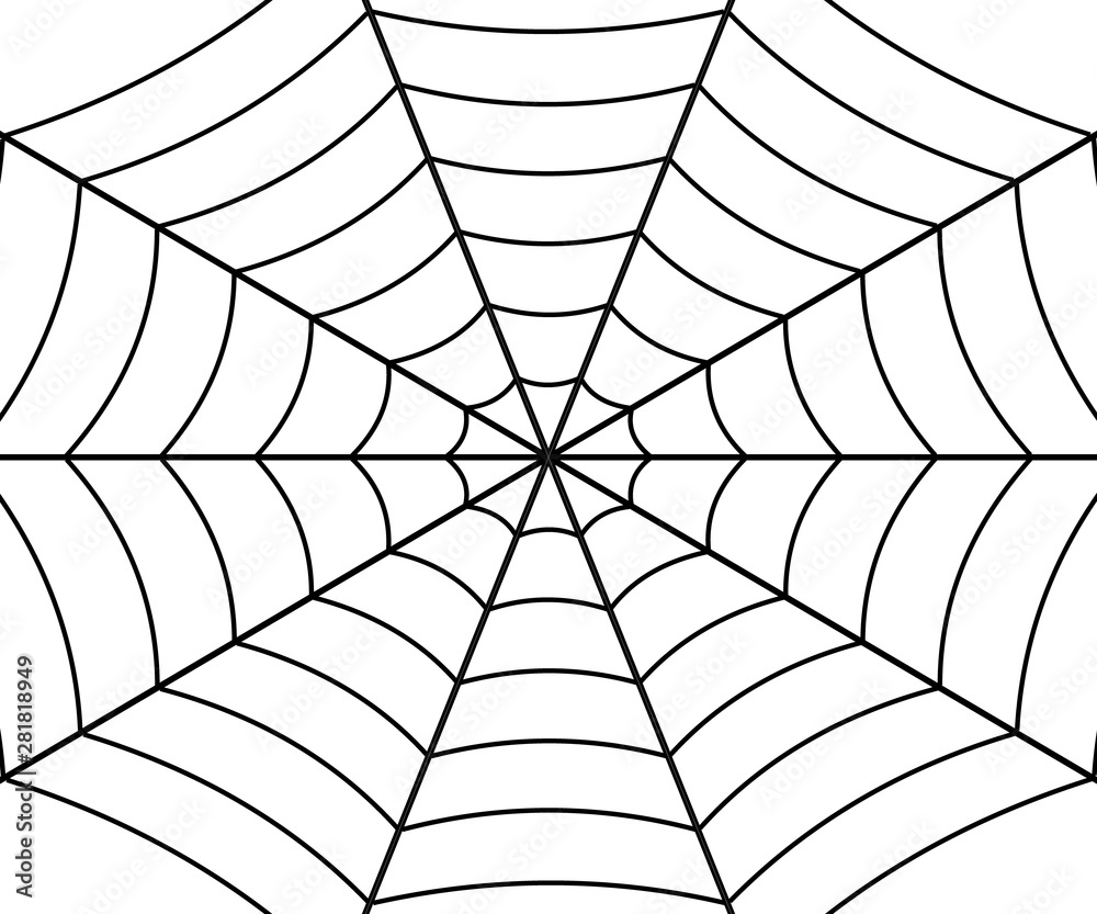 Spider web illustration