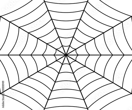 Spider web illustration