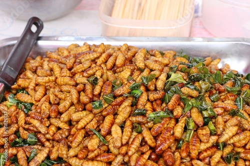 Fried insect at street food