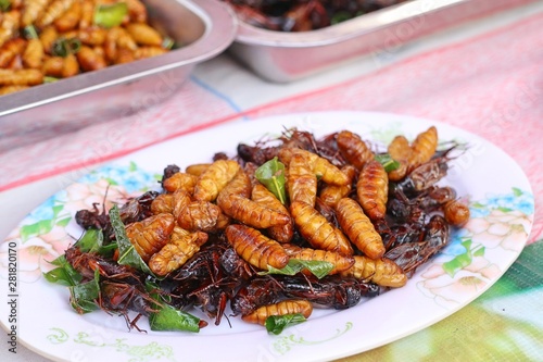 Fried insect at street food
