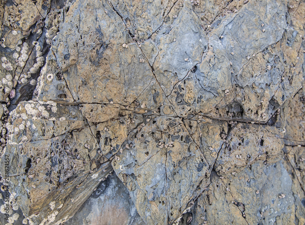 Fototapeta premium Stone texture background/ Rock texture/ Surface of the marble/Beautiful nature stone texturefor background/