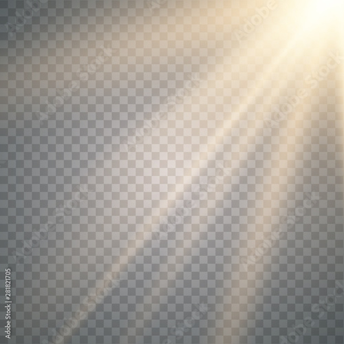 Vector transparent sunlight special