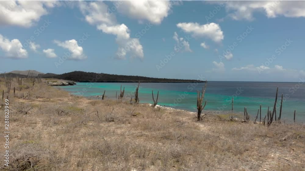 Flying slowly over a cactus field with turqoise water ocean background in a caribbean island. Flying slowly over a cactus field with turqoise water ocean background in a caribbean island.