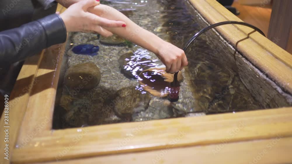 Young attractive woman and boy are probing elements inside aquarium with cable camera probe Young attractive woman and boy are probing elements inside aquarium with cable camera probe