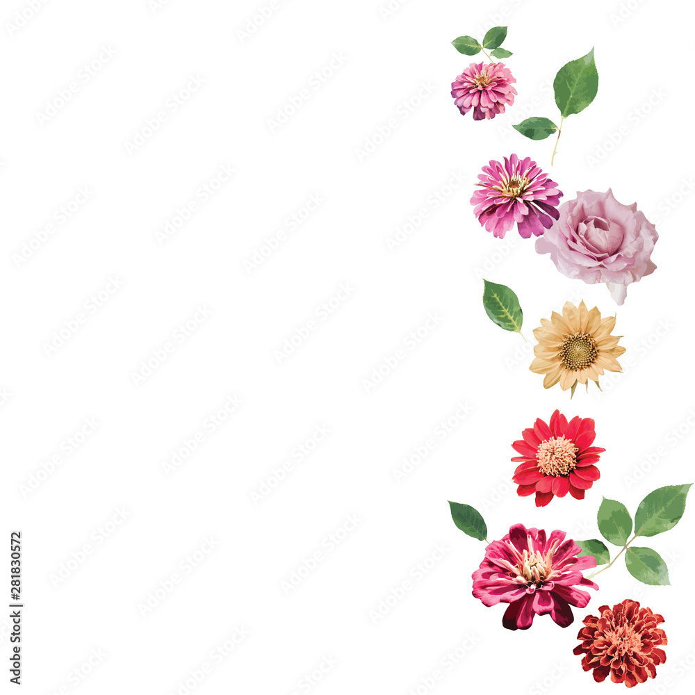 Vector floral design element set
