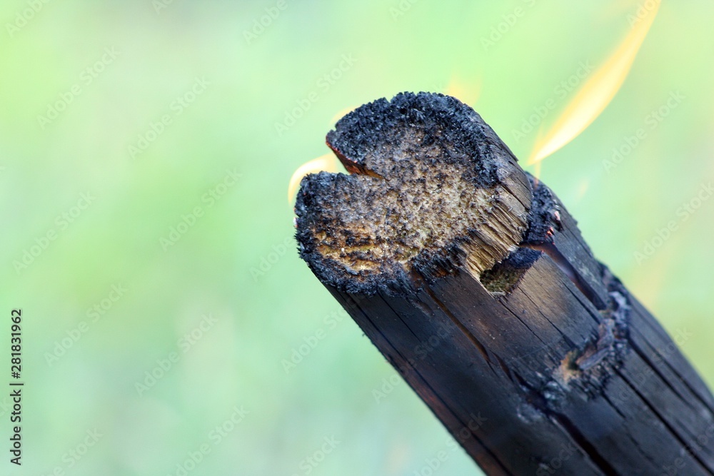 Obraz premium Burning tree branch. Flames on a tree branch in a campfire.