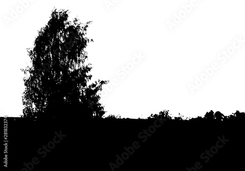 Black tree forest silhouette. Card with copy space. Isolated on white background. Vector nature illustration