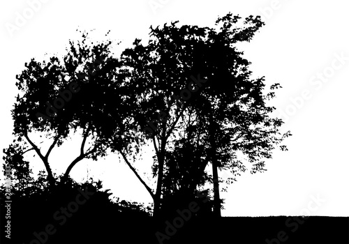 Black tree silhouette. Card with copy space. Isolated on white background. Vector nature illustration