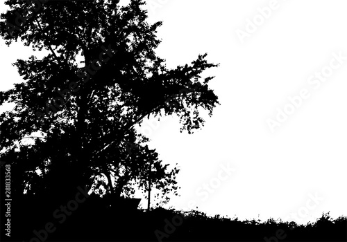 Black tree silhouette. Card with copy space. Isolated on white background. Vector nature illustration
