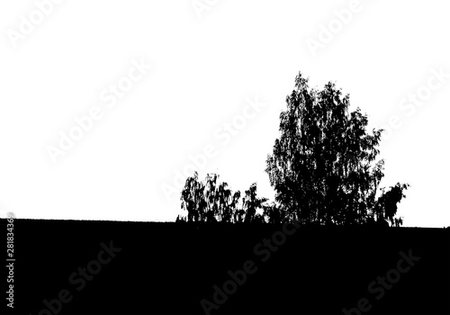 Black tree forest silhouette. Card with copy space. Isolated on white background. Vector nature illustration