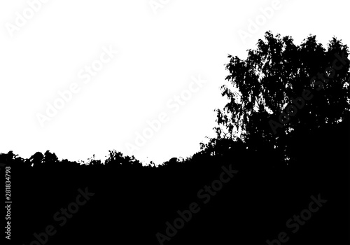 Black tree forest silhouette. Card with copy space. Isolated on white background. Vector nature illustration