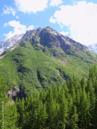 The Alps with its woods and glaciers near Monte Rosa and the town of Macugnaga, Italy - July 2019.