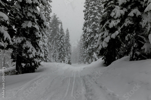 Cross-Country Skiing