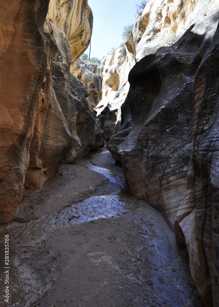 willis creek slot canyon in utah