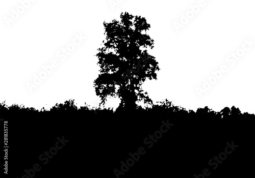 Black tree forest silhouette. Card with copy space. Isolated on white background. Vector nature illustration