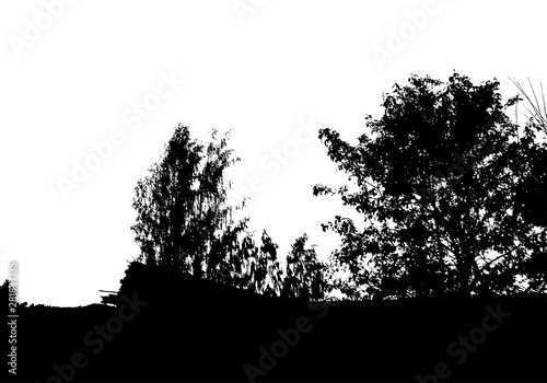 Black tree forest silhouette. Card with copy space. Isolated on white background. Vector nature illustration