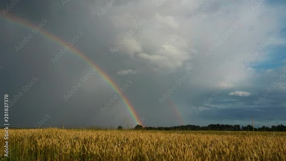 Rainbow Above Wheat Field. Flight Sideward Ripe Crop Field After Rain and Colorfull Rainbow in Background Rural Countryside. Aerial Dron Shot. Rainbow Above Wheat Field. Flight Sideward Ripe Crop Field After Rain and Colorfull Rainbow in Background Rural Countryside. Aerial Dron Shot.