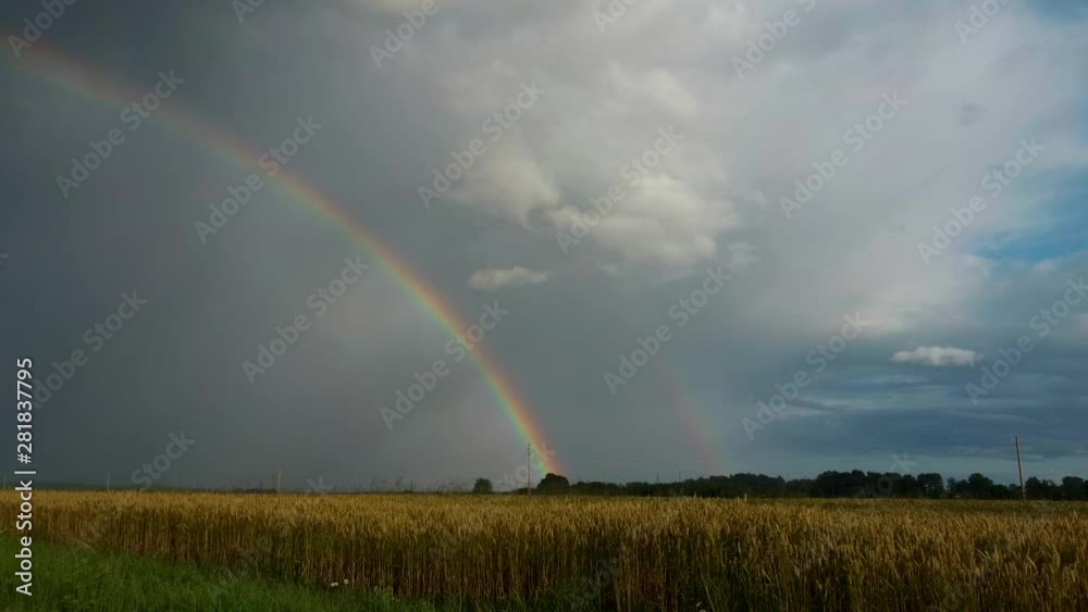 Rainbow Above Wheat Field. Flight Sideward Ripe Crop Field After Rain and Colorfull Rainbow in Background Rural Countryside. Aerial Dron Shot. Rainbow Above Wheat Field. Flight Sideward Ripe Crop Field After Rain and Colorfull Rainbow in Background Rural Countryside. Aerial Dron Shot.