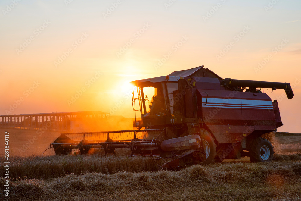 Fototapeta premium Machinery harvesting