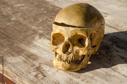 skull human older woman part of body death halloween