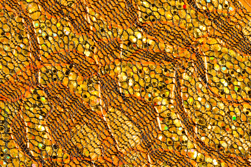 Abstract textured background of netting fabric with gold sequins