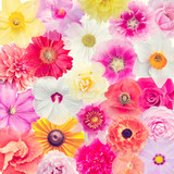 Different flower heads for background