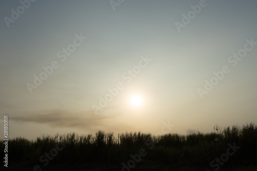 burnt sugarcane field in central america