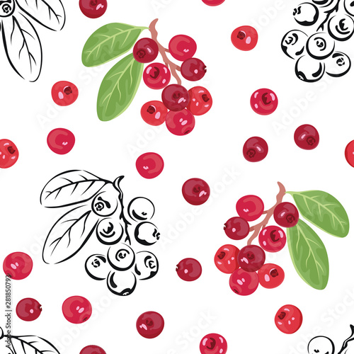 Vector cranberries. Seamless pattern with red berries and black-white outline on white background. Illustration in cartoon flat style.