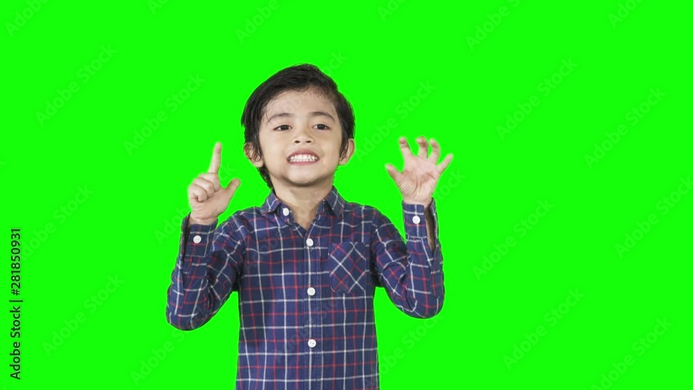 Shocked little boy looking at the camera while standing in the studio. Shot in 4k resolution with green screen background Shocked little boy looking at the camera while standing in the studio. Shot in 4k resolution with green screen background