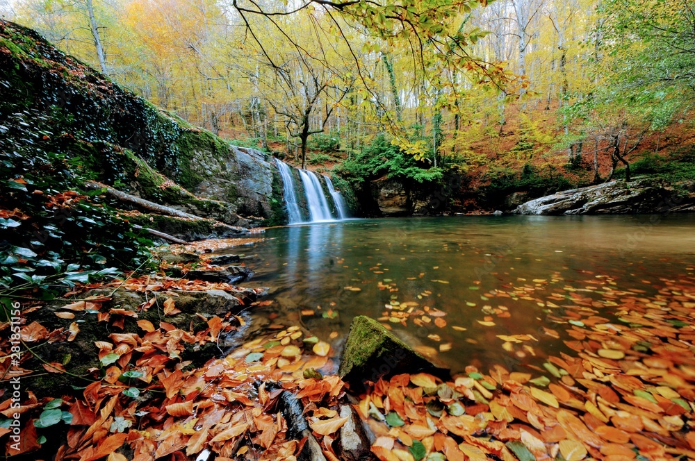 Fototapeta premium autumn in the park