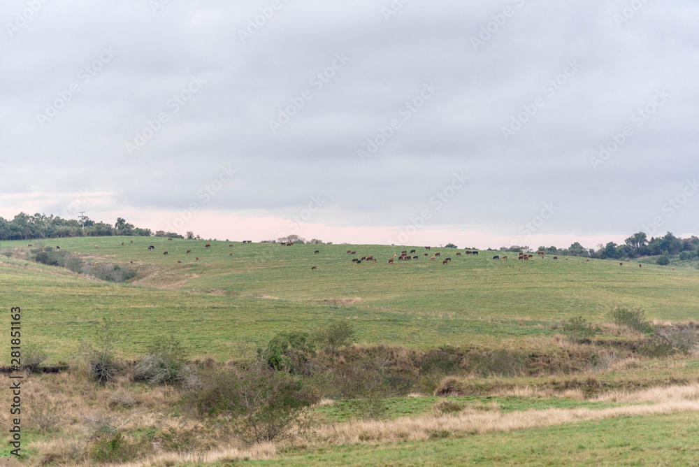 Rural landscape of production area and livestock breeding.jpg