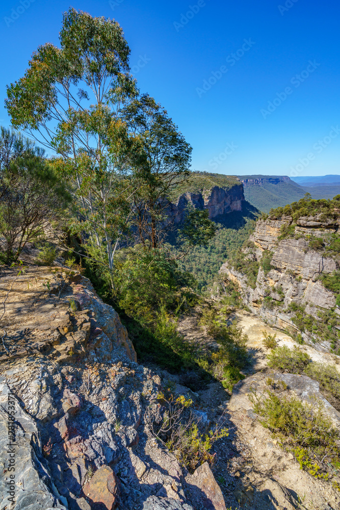 hiking to norths lookout, blue mountains national park, australia 15