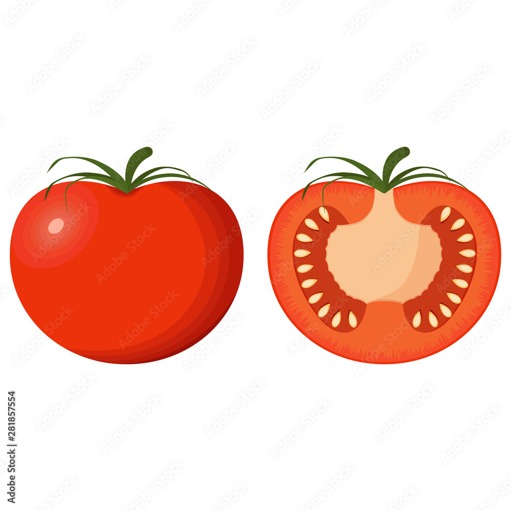 Set of two tomatoes – whole and cut – isolated on a white background. Vector illustration. Set of two tomatoes – whole and cut – isolated on a white background. Vector illustration.