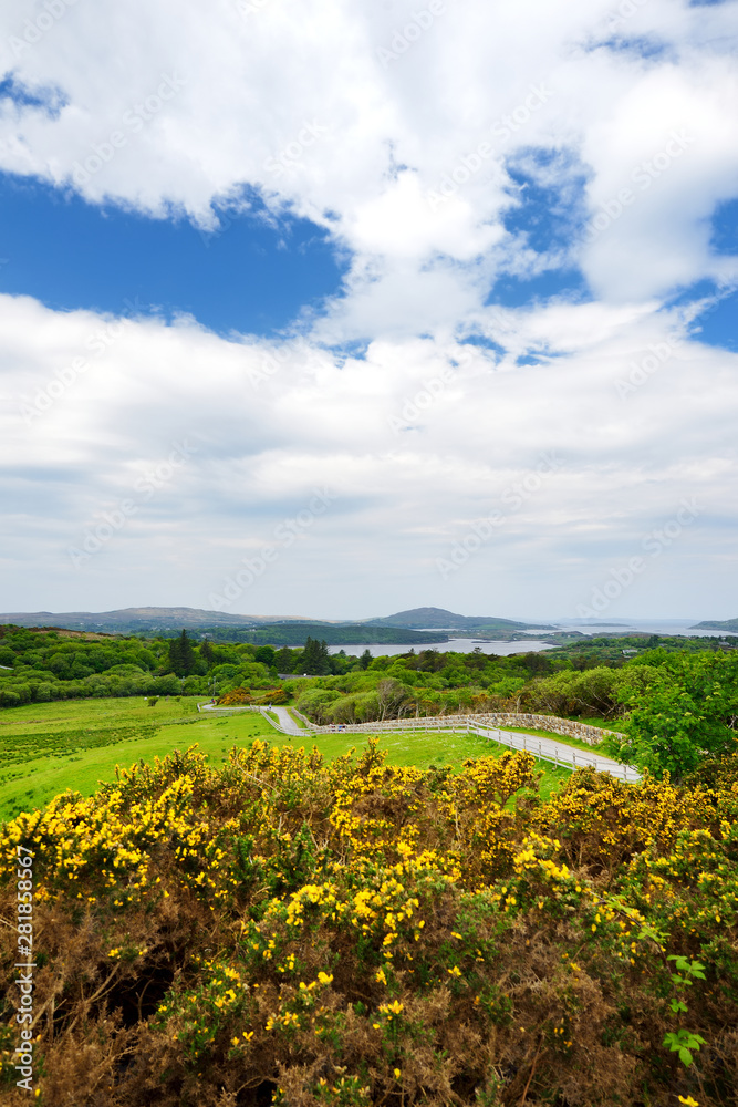 Connemara National Park, famous for bogs and heaths, watched over by its cone-shaped mountain, Diamond Hill, County Galway, Ireland