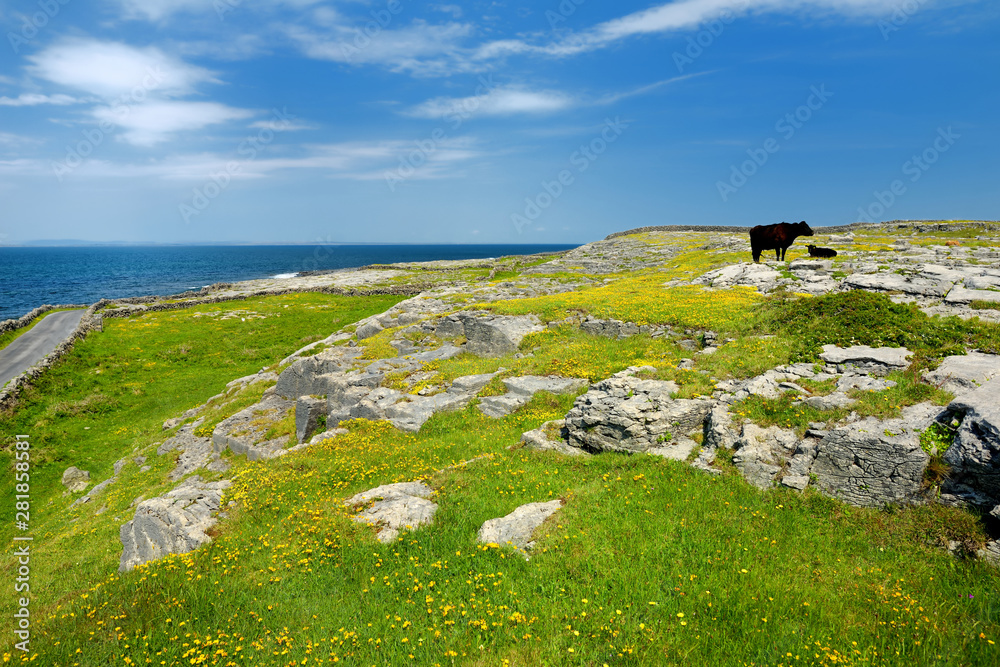 Inishmore or Inis Mor, the largest of the Aran Islands in Galway Bay, Ireland. Famous for its Irish culture, loyalty to the Irish language, and a wealth of Pre-Christian ancient sites.
