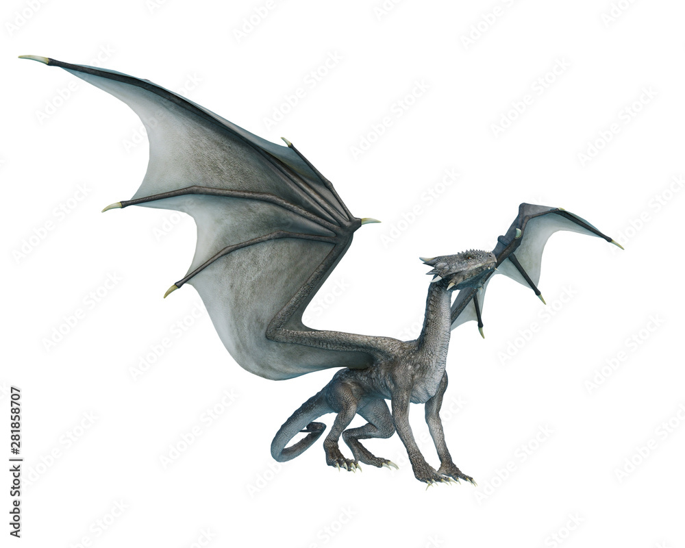 Fototapeta premium dragon looking up