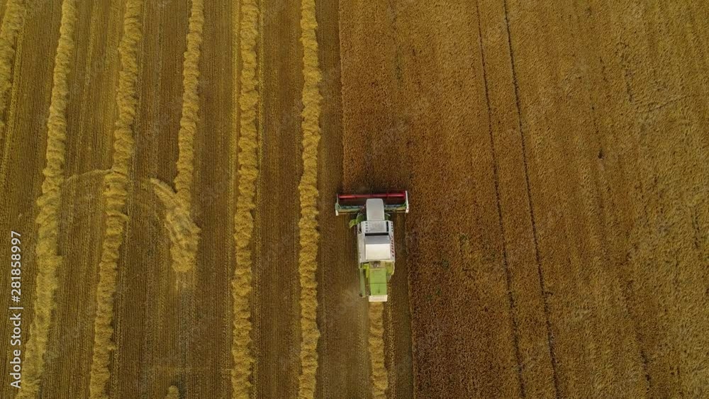 The lone harvester slowly harvests the grain of ripe wheat. The lone harvester slowly harvests the grain of ripe wheat.